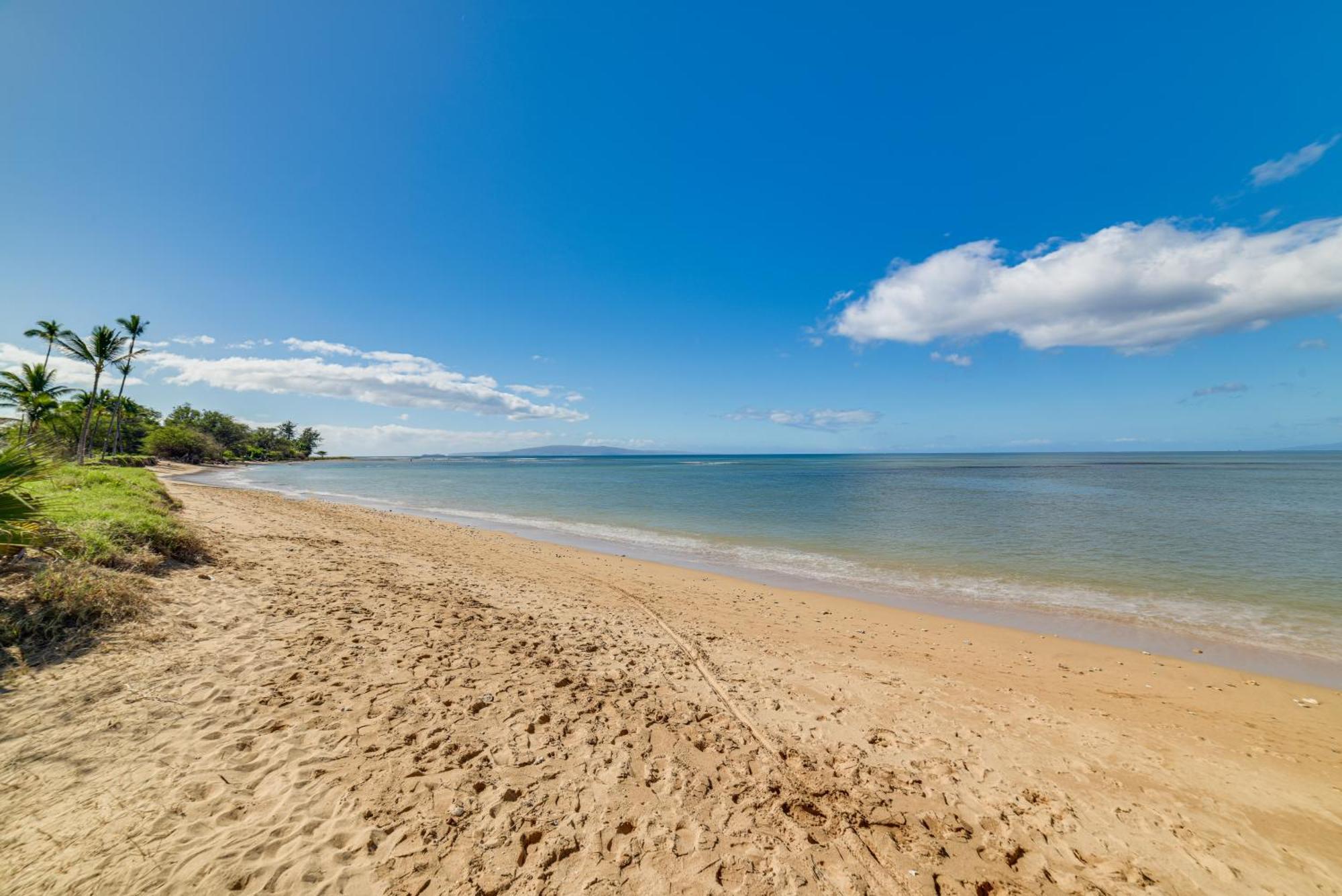Beachside Vacation With Stunning Views! Apartment *