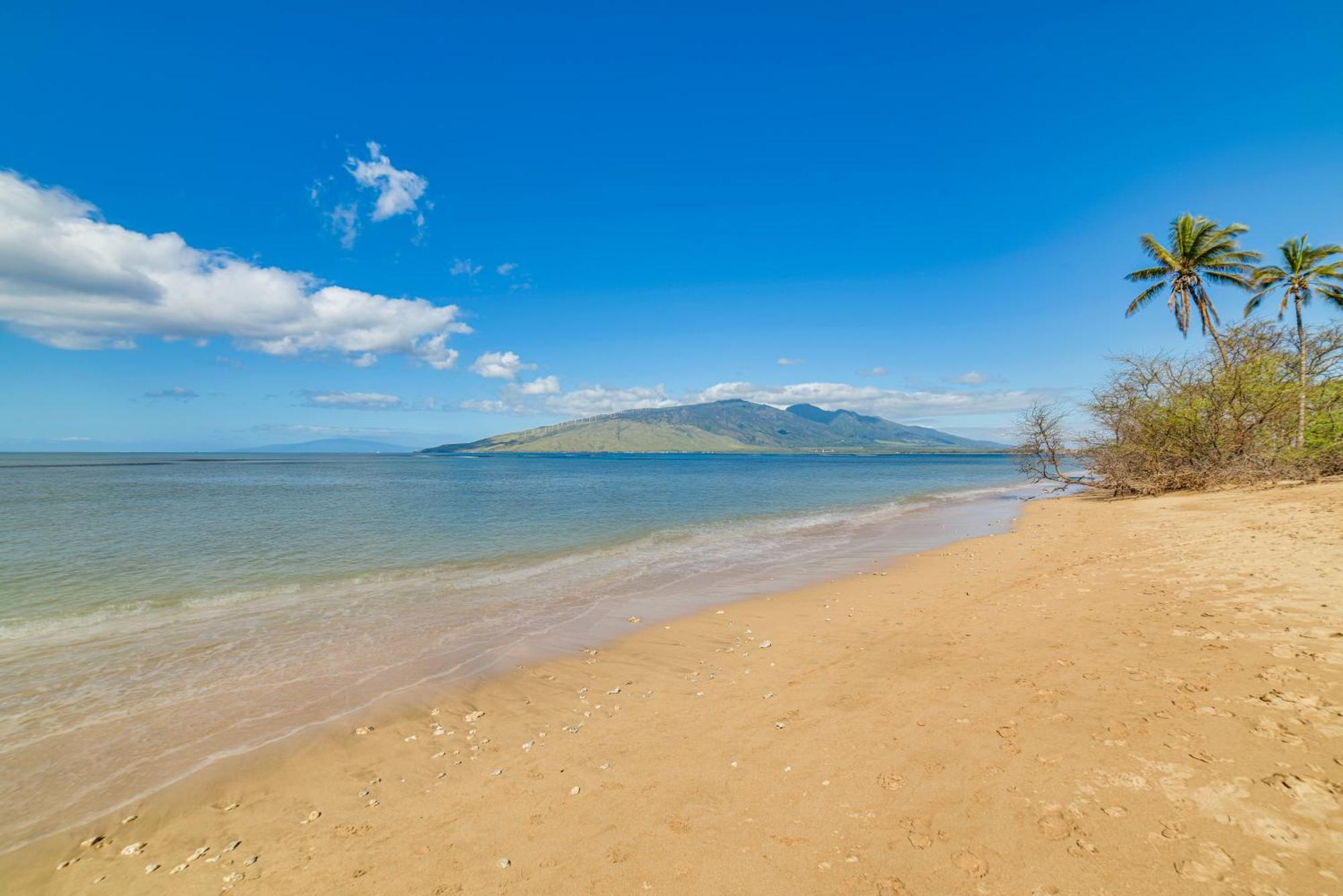 Apartamento Beachside Vacation With Stunning Views! Kihei